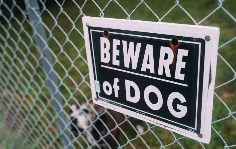 Do Leash Laws Affect Dog Bite Claims in Colorado Springs?