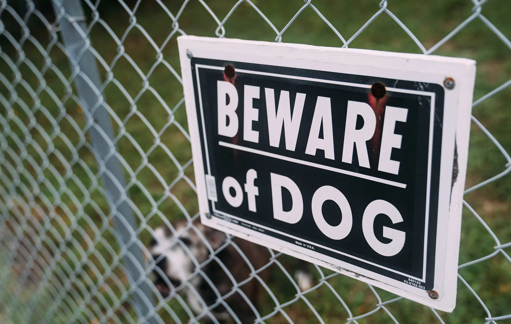Dog Bite Attorneys in Colorado Springs | Call 719-520-9909