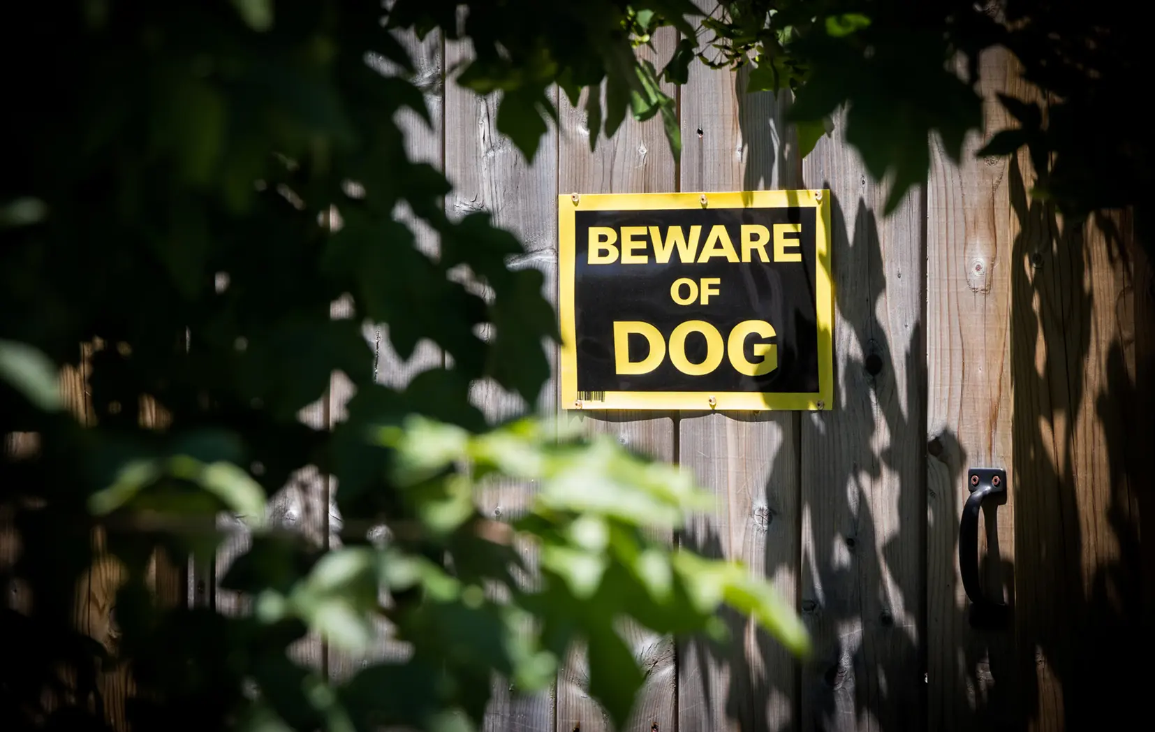 Dog Bite Attorneys in Colorado Springs | Call 719-520-9909
