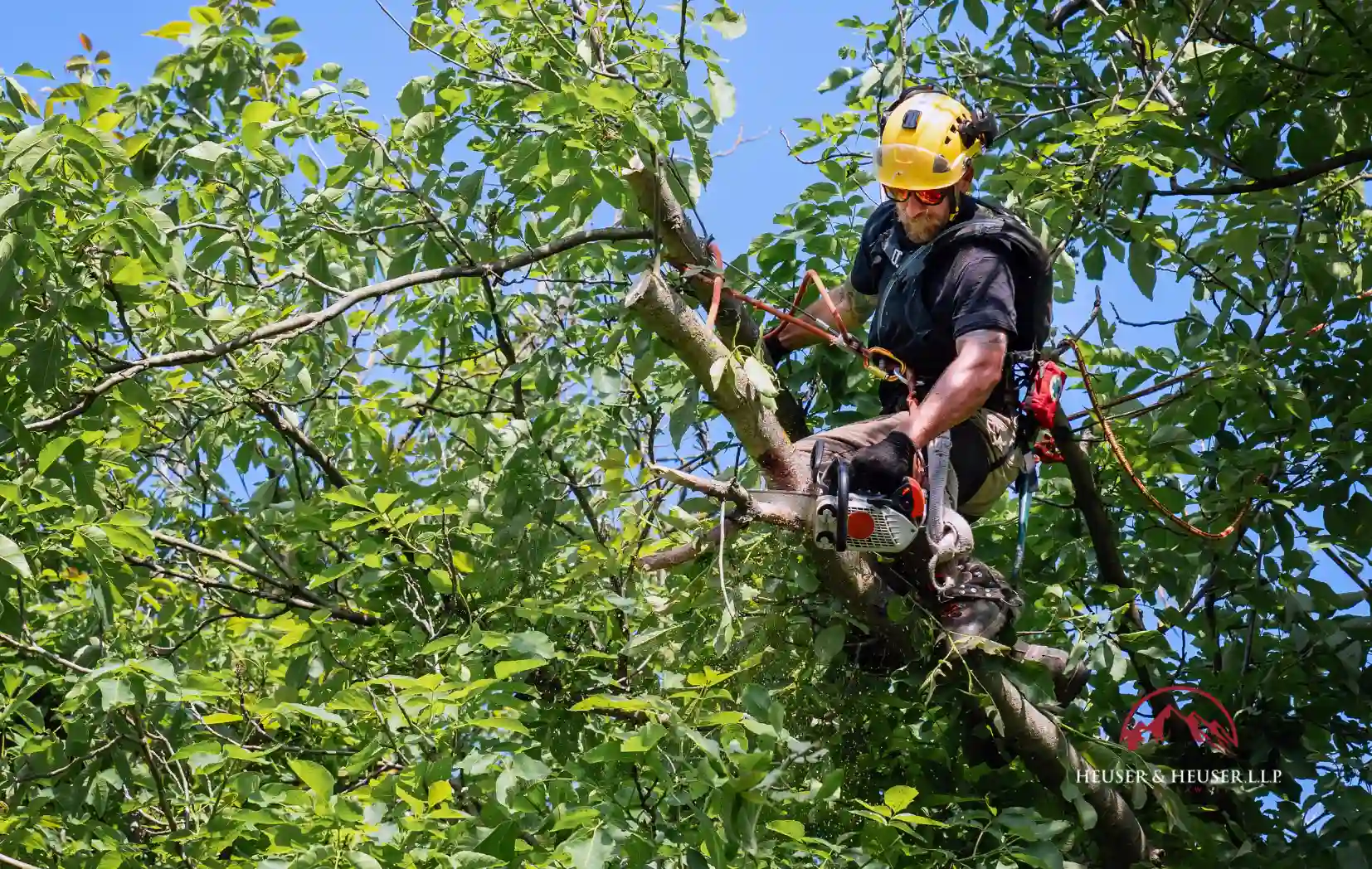 What Are the Top 10 Most Hazardous Jobs in the U.S.?